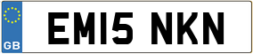 Trailer License Plate